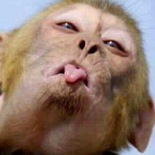 สมาชิกหมายเลข 4669479