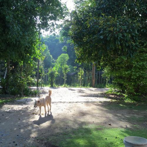 รักกันต้องเชื่อใจ