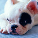 สมาชิกหมายเลข 3747872