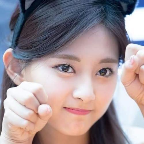 สมาชิกหมายเลข 5056550