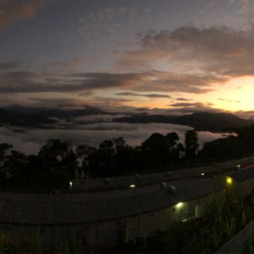 สมาชิกหมายเลข 4952591