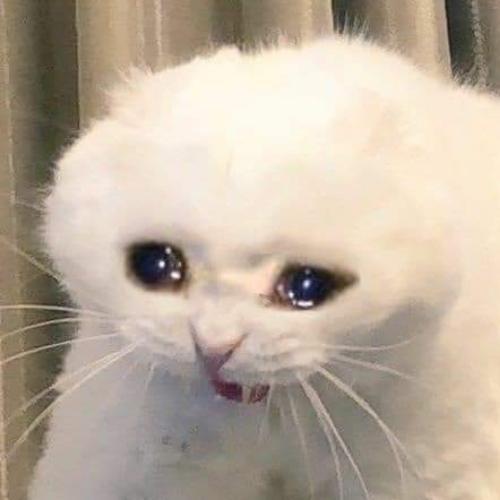 สมาชิกหมายเลข 5970992