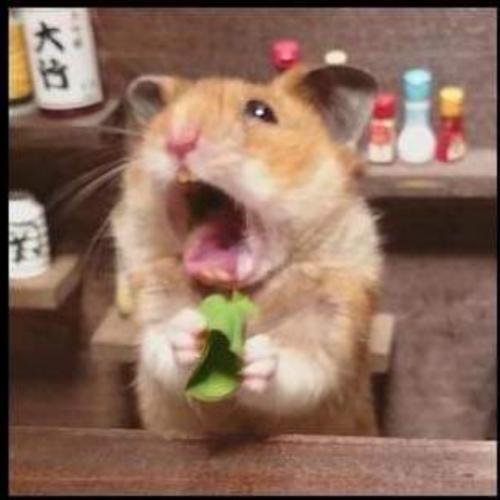 สมาชิกหมายเลข 1323739