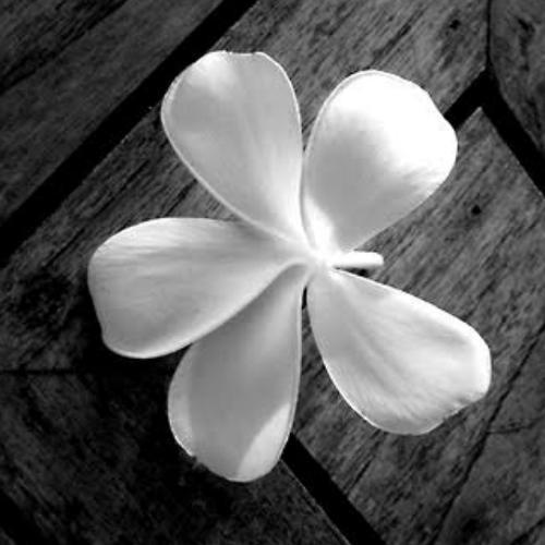 สมาชิกหมายเลข 3480851