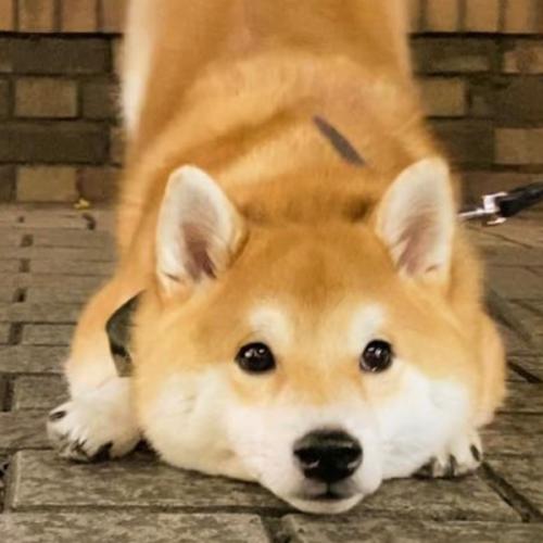 สมาชิกหมายเลข 7311031