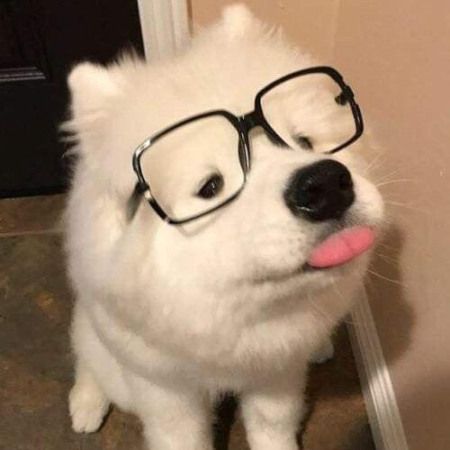 สมาชิกหมายเลข 8140785