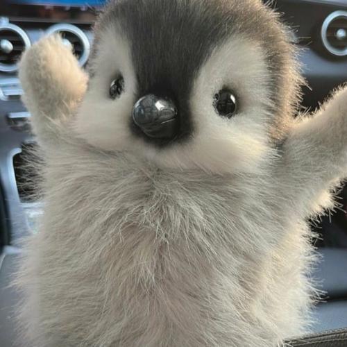 สมาชิกหมายเลข 8142321