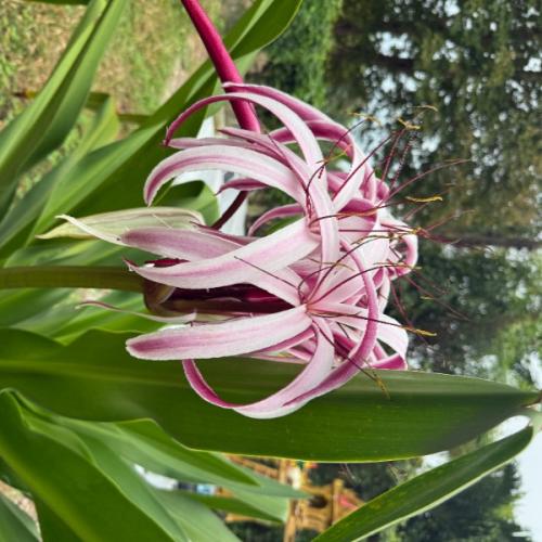 สมาชิกหมายเลข 5149378