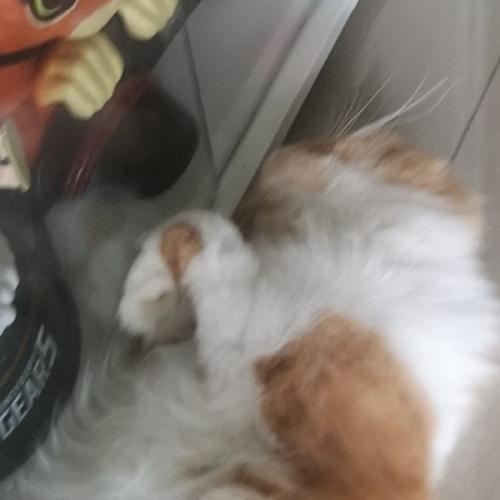 สมาชิกหมายเลข 8803126