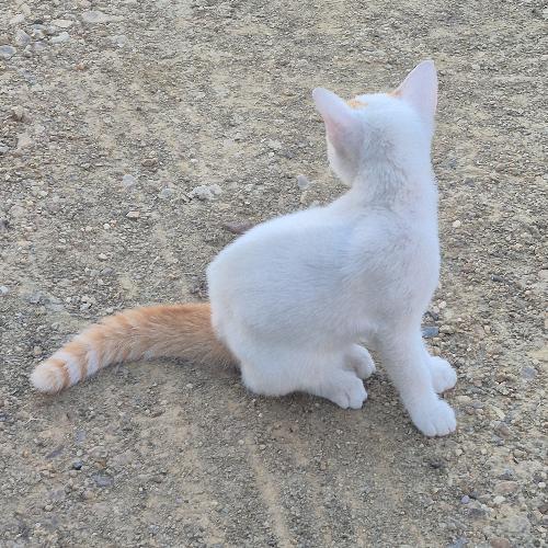 สมาชิกหมายเลข 9167629