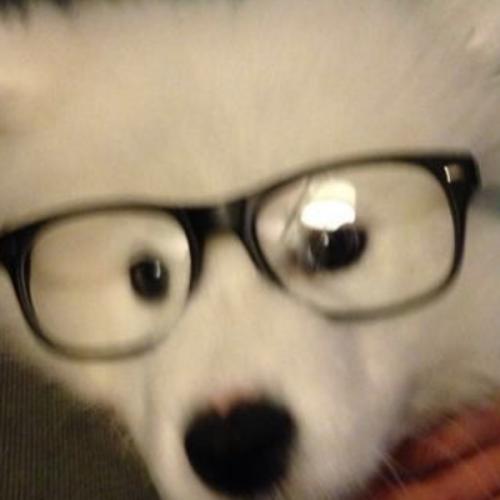 สมาชิกหมายเลข 9184045