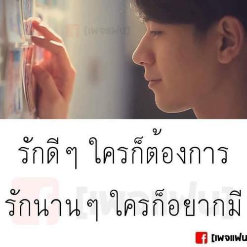 สมาชิกหมายเลข 4690542