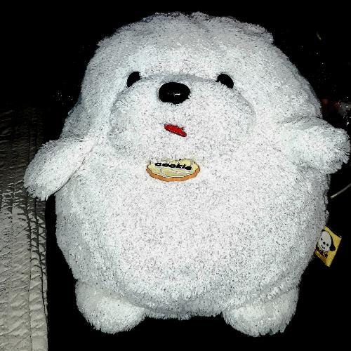 สมาชิกหมายเลข 4690573