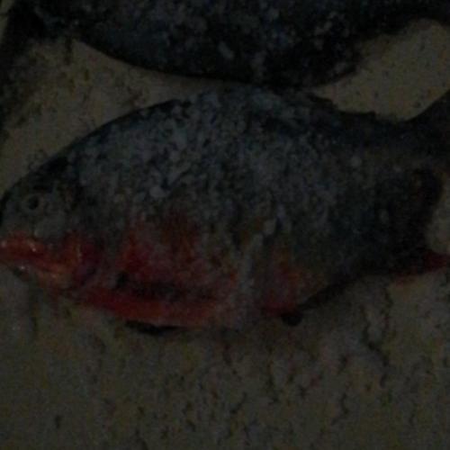 สมาชิกหมายเลข 2895774