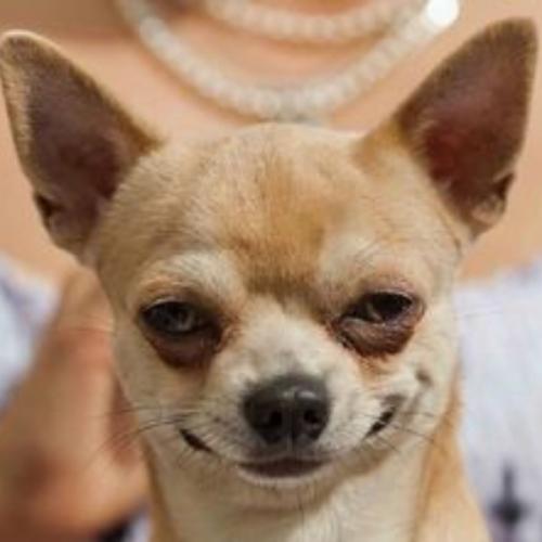 สมาชิกหมายเลข 1496969