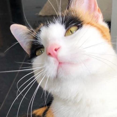 สมาชิกหมายเลข 5971892