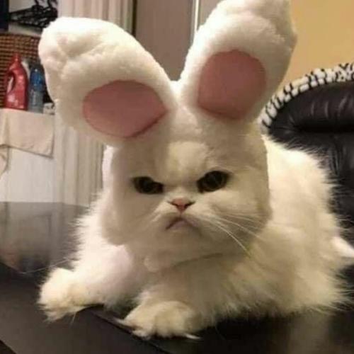 สมาชิกหมายเลข 6572769