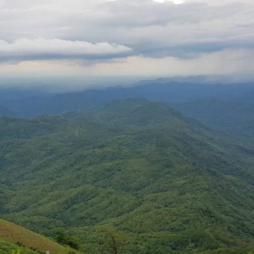 สมาชิกหมายเลข 2421735