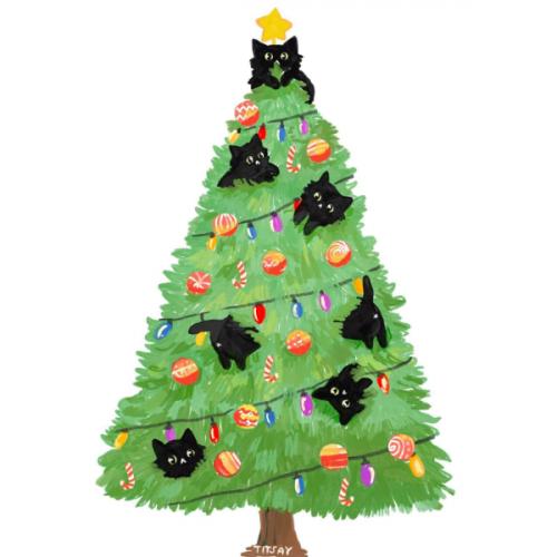 สมาชิกหมายเลข 2263496