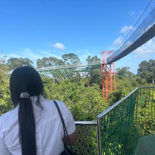 สมาชิกหมายเลข 6060026