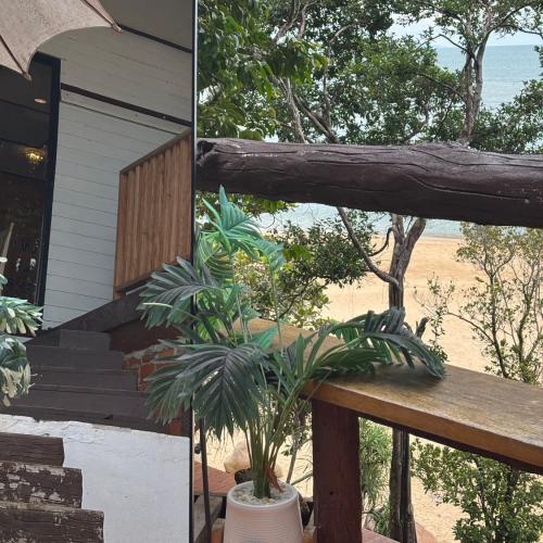 สมาชิกหมายเลข 8628822