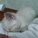 สมาชิกหมายเลข 2512372