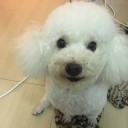 สมาชิกหมายเลข 3139419