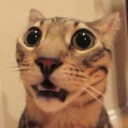 สมาชิกหมายเลข 3217808