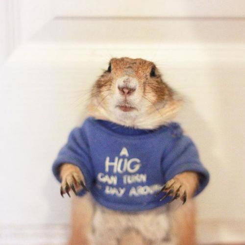 สมาชิกหมายเลข 4010971