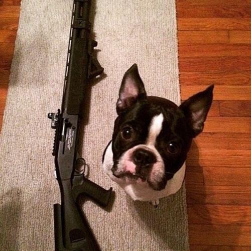 หนุ่มนะ