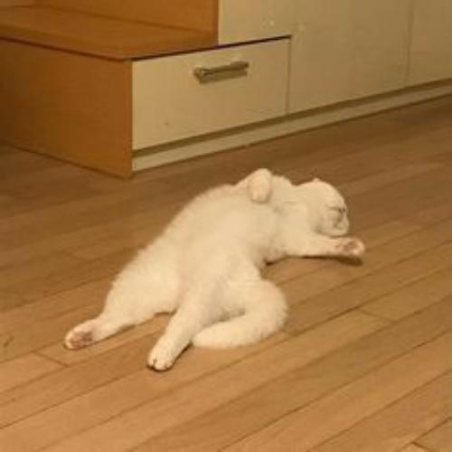 สมาชิกหมายเลข 5450322