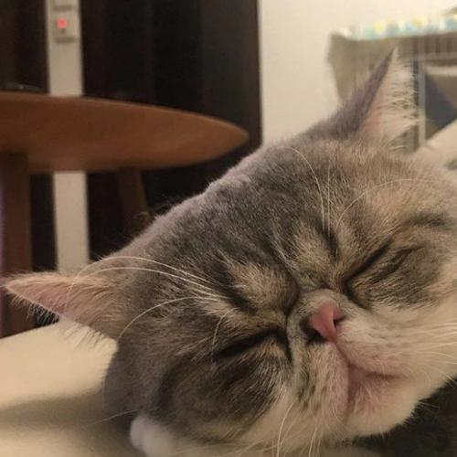 สมาชิกหมายเลข 5450354