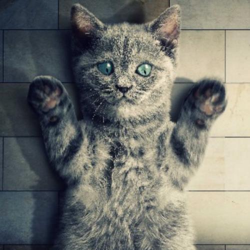 สมาชิกหมายเลข 5972231