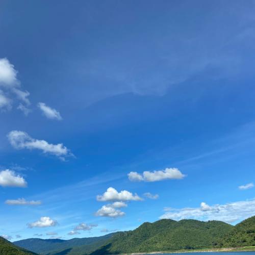 สมาชิกหมายเลข 6569921