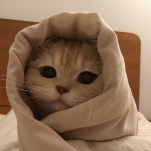 สมาชิกหมายเลข 6579465