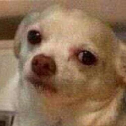 สมาชิกหมายเลข 7312875