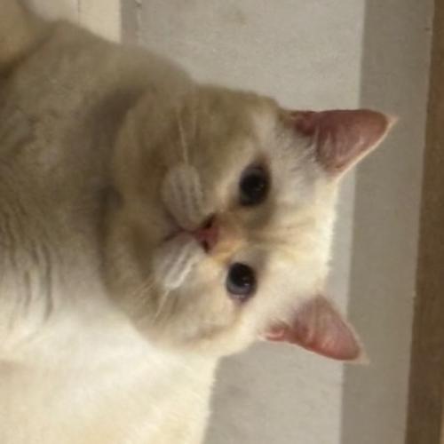 สมาชิกหมายเลข 2457631