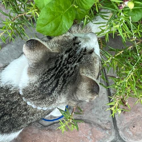 สมาชิกหมายเลข 5355752