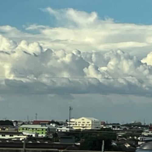 สมาชิกหมายเลข 6750826