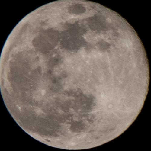 สมาชิกหมายเลข 8084726