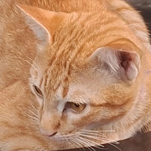 สมาชิกหมายเลข 9185961