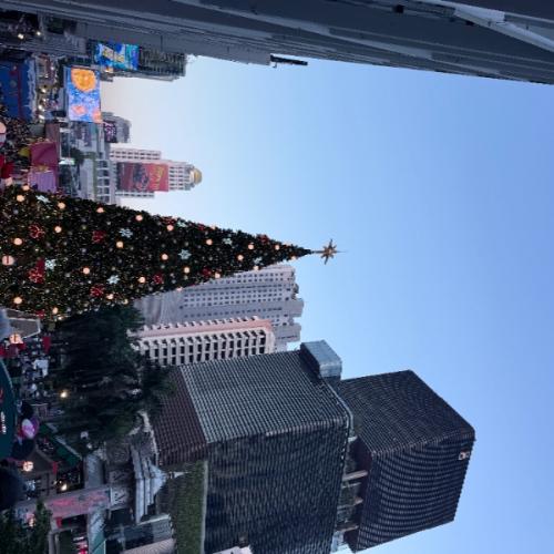 สมาชิกหมายเลข 9186817