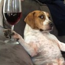 สมาชิกหมายเลข 2582346