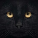 สมาชิกหมายเลข 4003679