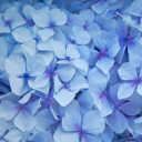 HQ ความรู้สึกที่เหมือนพลูโต