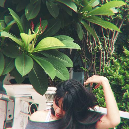 สมาชิกหมายเลข 5450902