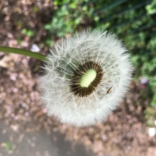 สมาชิกหมายเลข 5973010