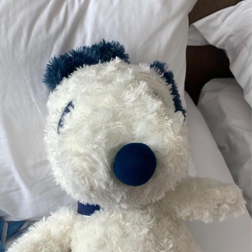 สมาชิกหมายเลข 4627391