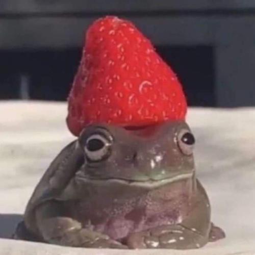 สมาชิกหมายเลข 5682260