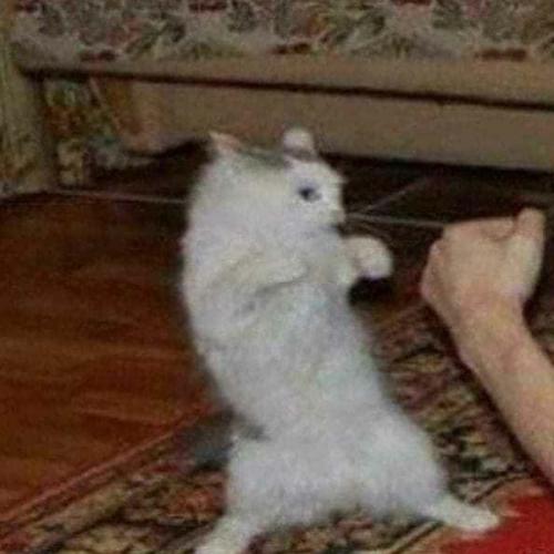 สมาชิกหมายเลข 7867489